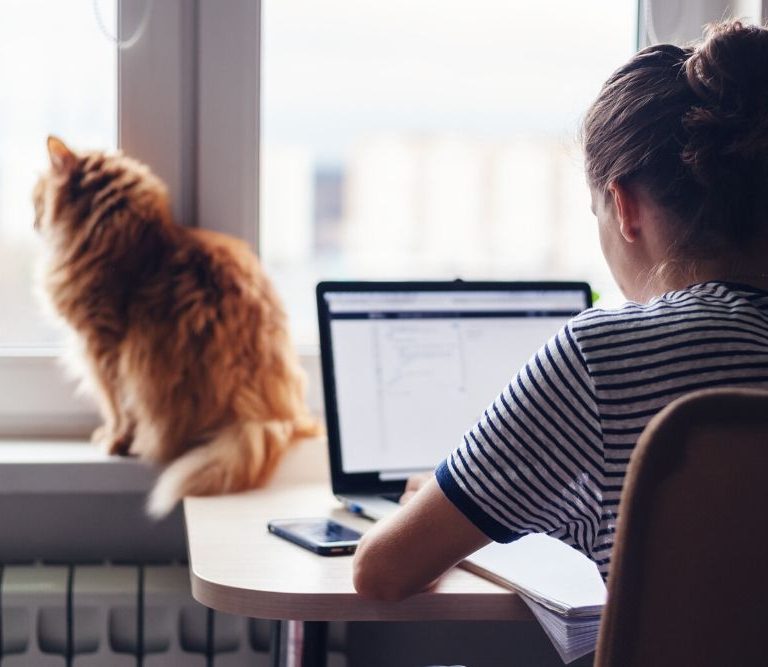 jovem procurando emprego online nas consultorias de recursos humanos