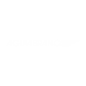 aguia-branca