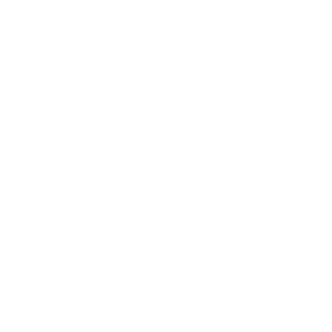 fortlev